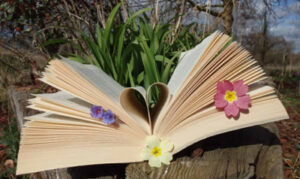 book, flowers