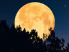 Full moon increases chi vibration harvest moon, full moon